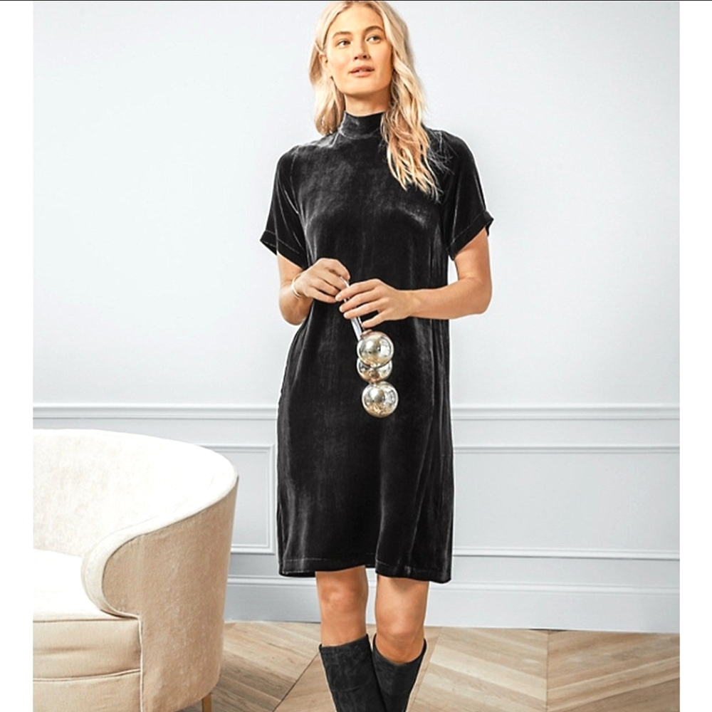 Elegant Black Velvet Dress Eileen Fisher